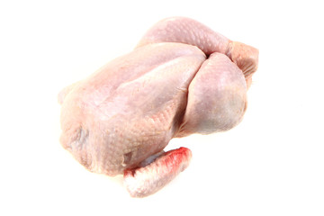 raw chicken isolated