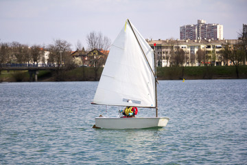 Fototapeta premium Sailing