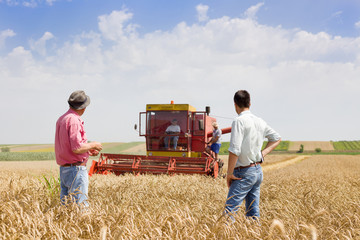 Business partners on wheat field