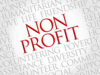Non Profit word cloud concept