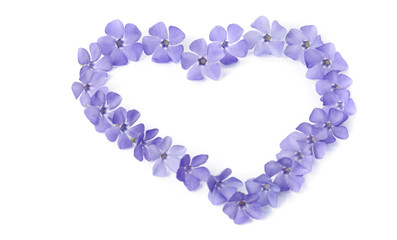 beautiful periwinkles in  shape of heart on white background