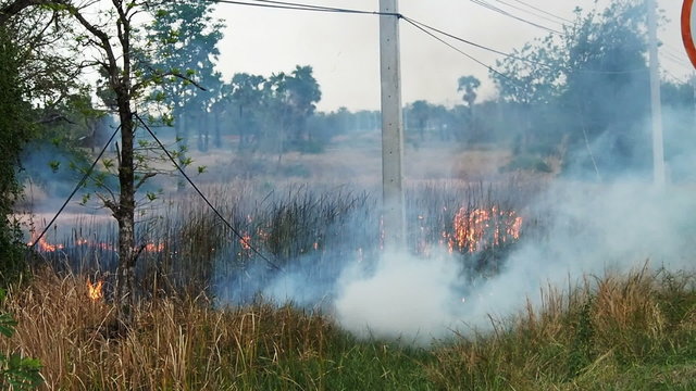 The flames of a brush fire approach a road side.60 fps.