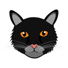Pet design.