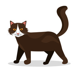 Pet design.
