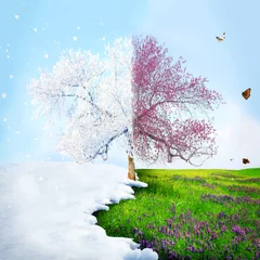 Photo sur Plexiglas Lilas Changement de saison de l& 39 hiver au printemps