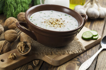 Tarator, bulgarian sour milk soup