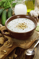 Tarator, bulgarian sour milk soup