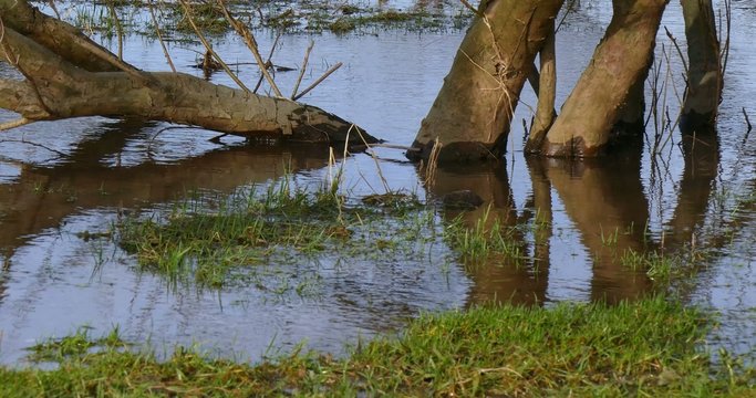 Unter Wasser