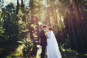 wedding bride in a sunny forest