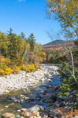 Pemigewasset river