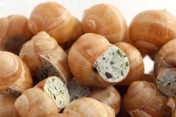 Escargots