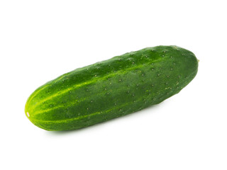 Cucumber