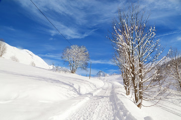 Obraz premium Montagne