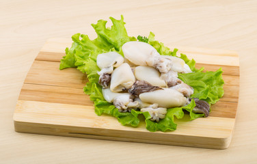 Raw cuttlefish