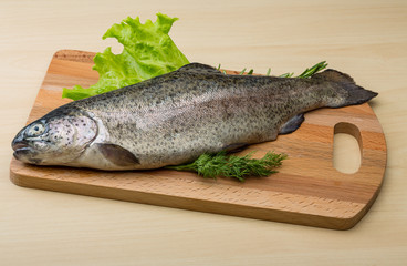 Raw fresh trout