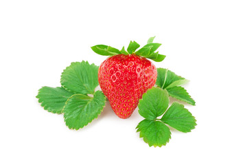 fresh strawberry