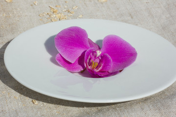Obraz na płótnie Canvas орхидея на тарелке