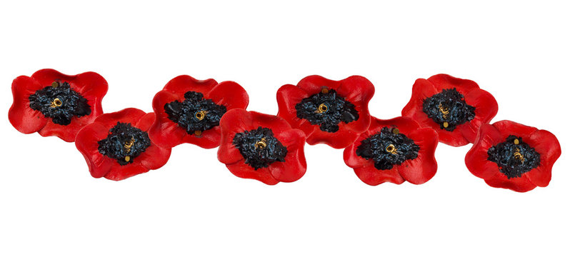 Decor of red poppies isolated on a white background