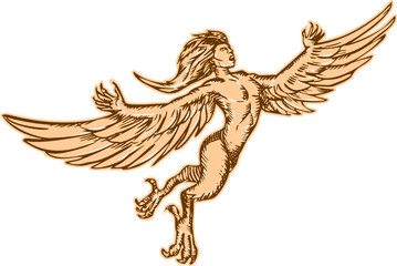 Harpy Flying Front Etching