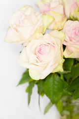 närbild på ljusrosa rosor i bukett