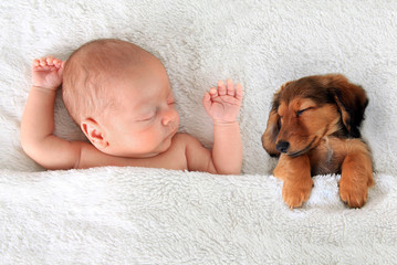Sleeping baby and puppy - 81199831