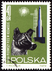 First dog Laika in space on post stamp