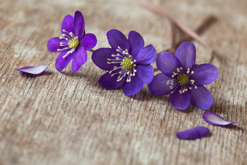 Fototapeta na wymiar Spring flowers on an old table