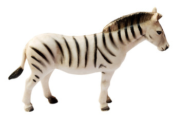 zebra Toy on white background