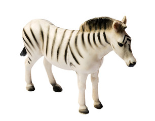 zebra Toy on white background