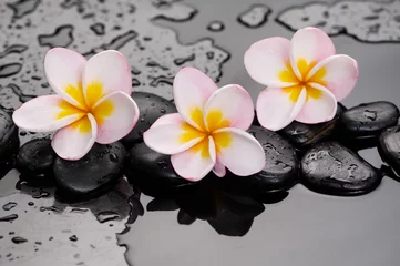Deurstickers Zen stones and frangipani on wet background © Mee Ting