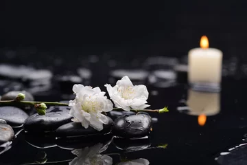 Rolgordijnen Set of cherry blossom with white candle on black stones © Mee Ting