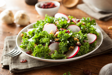 Healthy Raw Kale and Cranberry Salad