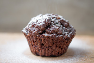 Chocolate muffins sprinkled with powdered sugar