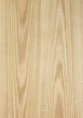 oak wood texture