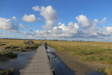 Fahrradsteg Böhler Strand St. Peter-Ording