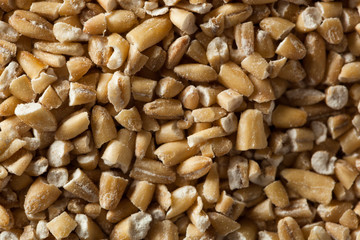 Raw Organic Steel Cut Oats