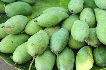 Fresh mango fruit in the market