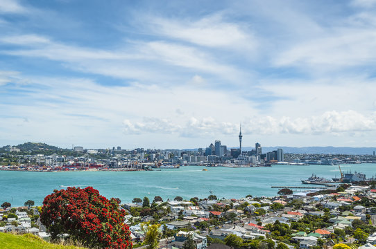 Auckland New Zealand, view from Mount Victoria
