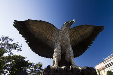 Krabi Eagle