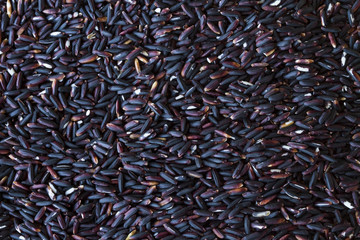 Black rice paddy