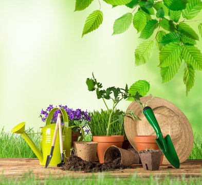 Outdoor gardening tools and plants.