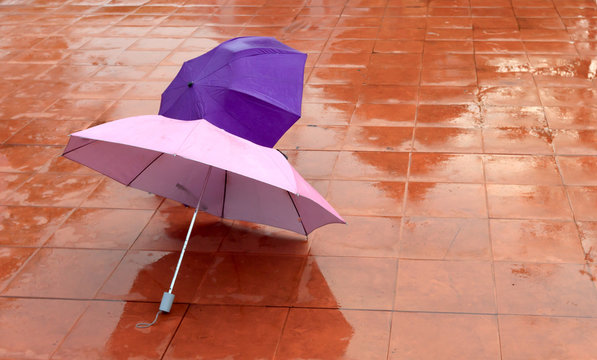 Colorful umbrellas on the wet pavement