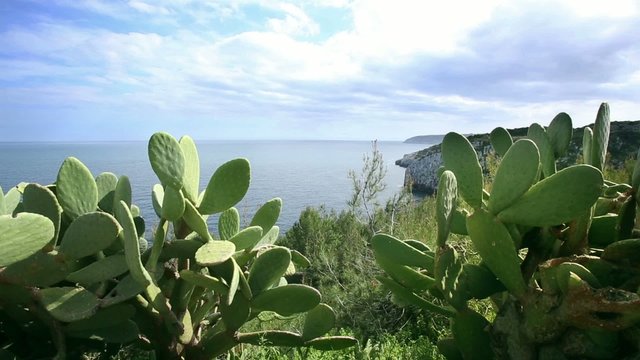 Costa Salentina - Santa Maria di Leuca