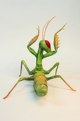 mantis attacking