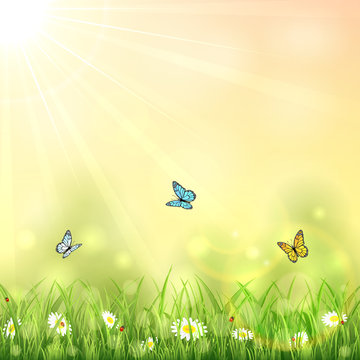 Nature background with butterflies