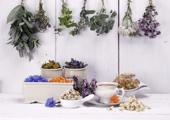 Various of herbal tea. Fresh and dried herbs, flowers