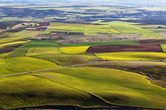 Campo en Noez. Toledo