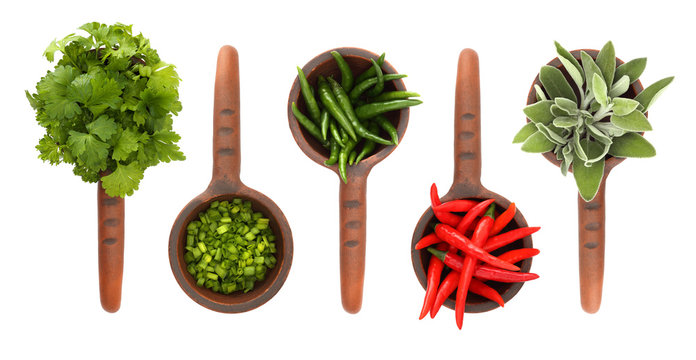 Fresh flavoring herbs and spices in in ceramic scoop