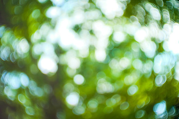 Obraz premium Bokeh Abstract blurred light background