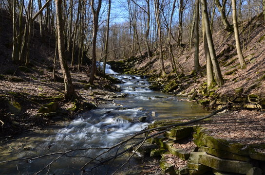 Fototapeta strumień